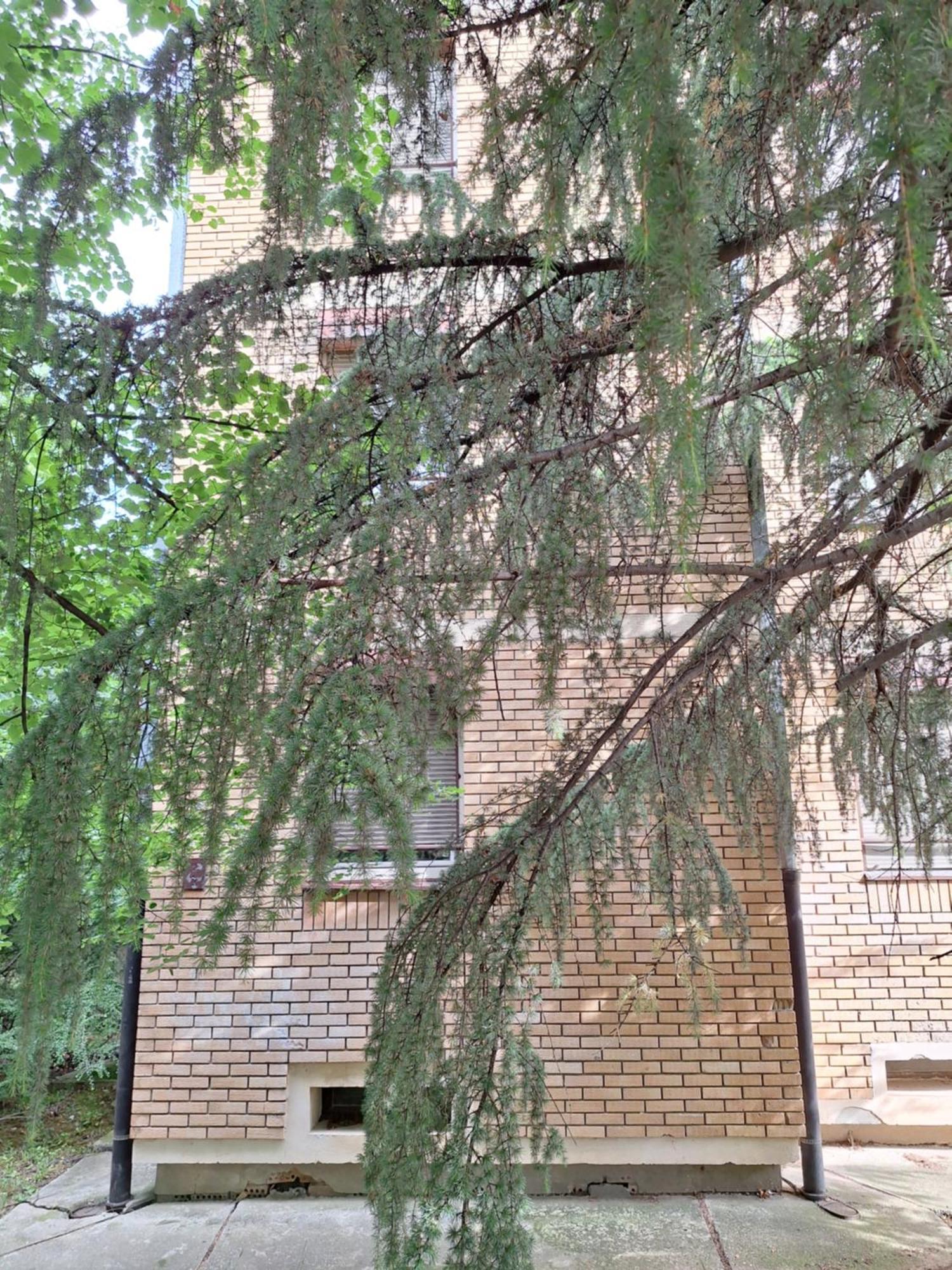 Rivijera Green 贝尔格莱德 外观 照片
